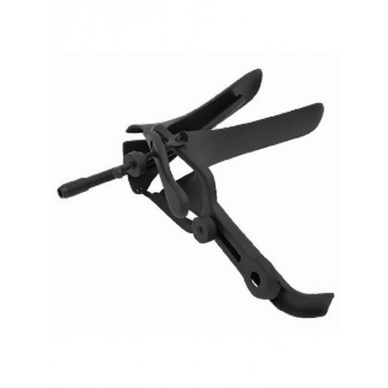 Pederson Graves Speculum Pederson Graves Speculum