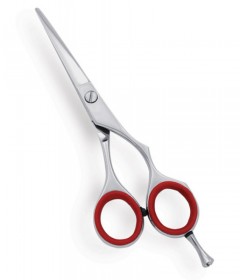 Professional Barber Scissors 